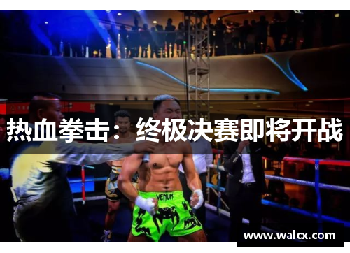 热血拳击：终极决赛即将开战